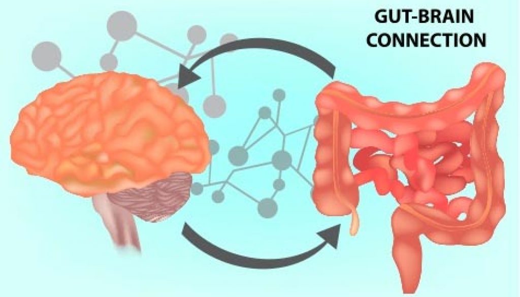 The Gut-Brain Connection Is Important For Mental Health And More!